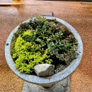 선문염송설화 이미지