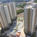 해뜰안애 이미지