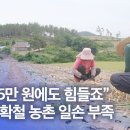 일손돕기로 &#39;통합의 공감대 확장&#39;[목포MBC] 신안, “일당 15만원에도 힘들죠” 양파 수확철 농촌 일손 부족 이미지