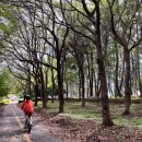 하동포구주유소 이미지