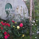 산골농장 이미지