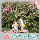 동세종농협주유소 | 세종 장미가 예쁜 아이와 방문하기 좋은 cafe 일랑일랑