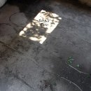 창도목장 이미지