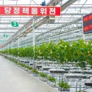 중평농장 이미지