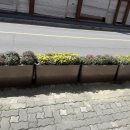 중앙로길 이미지