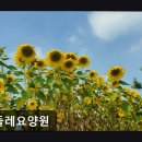 민들레요양병원 이미지