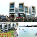 보롬코지 이미지