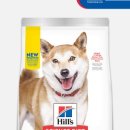 퍼펙트바이트 이미지