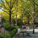 거리공원 이미지