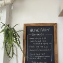 팜올리브 | 둔산동 빵집, 둔산3동 빵집, 소금빵 맛집, 올리브 팜 베이커리 후기