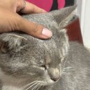 시루민박 이미지