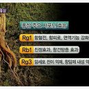 천지인의약품 이미지