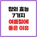 참외 효능 7가지! 여름철에 좋은 이유 이미지