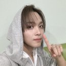 곰도리 이미지