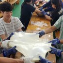 한송중학교 이미지