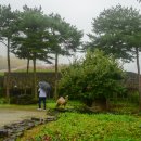 가산수피아 이미지