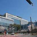 아트리움(성남시의료원) 이미지