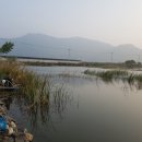 흥왕낚시터 이미지