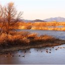 가고파안경 이미지