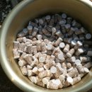 계룡농장 이미지