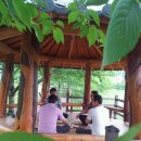 정자네식당 이미지