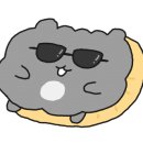 비디오브 이미지