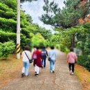 제주투어리스트