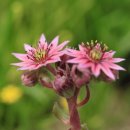 김종열농장 이미지