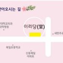 원대부속유치원 이미지