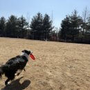 솔바람공원 화장실 이미지