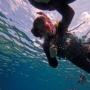 (주)중부렌트카(북부) | 3일차 “중부여행코스,아메리칸빌리지맛집,오릭스렌트카,갈라블루씨,푸른동굴스노쿨링,누치마스소금공장”