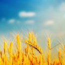 리안성형외과 - 노원구 동일로 1402 | 리안성형외과