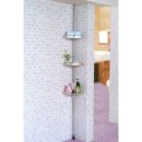 도스인터내셔널 이미지