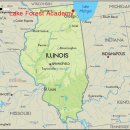 12th forest 이미지