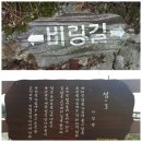 비렁길돌담민박 | [후기] 여행기획학교 3기 '금오도 기행'