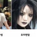 벚꽃플러스 이미지