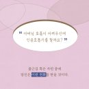 세기운수상조 노동조합 | 요즘 주목받는 콘텐츠를 보며 떠올린 책들