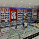 도매당안경 이미지