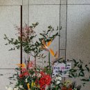 꽃잠 하우젠 이미지