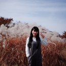 국내여행 전라도 3박4일 여행코스 근로자휴가지원사업 베네피아 숙박이용후기