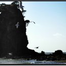 바다가 보이는 풍경 이미지