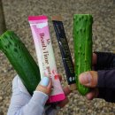 상능길마을회관 이미지