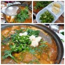 송골새
