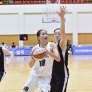 엄지체육관 스포츠조선