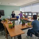 힐링 원예교실 이미지