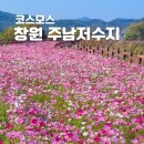 주남저수지 단풍나무화장실 네이버블로그