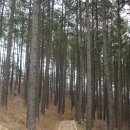 마동초등학교 이미지