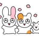 외식1번가서부산 이미지