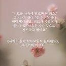 스테이이플 이미지