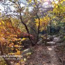 무등로2구간 이미지